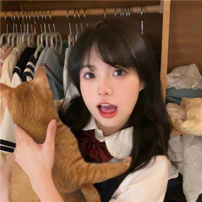 粉红蝴蝶